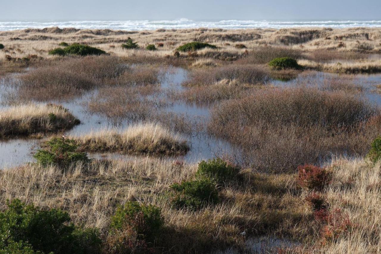 Tidal House 3 Villa Ocean Shores Bagian luar foto